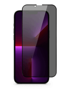 zascitno steklo zatemnjeno 9h privacy za iphone 11 11 pro 3